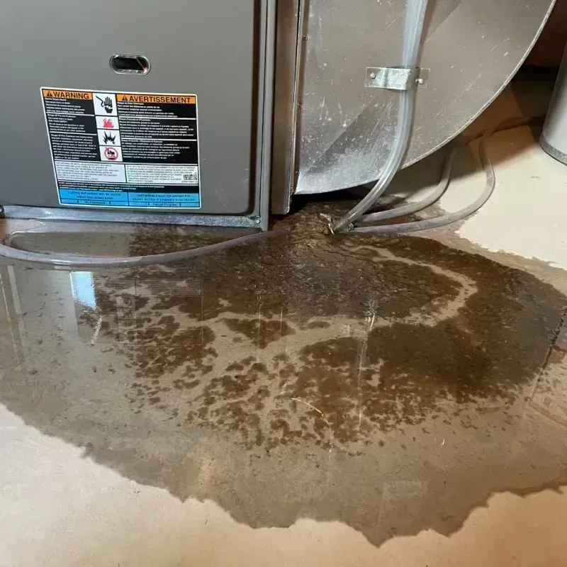 Appliance Leak Cleanup in Nashua, IA